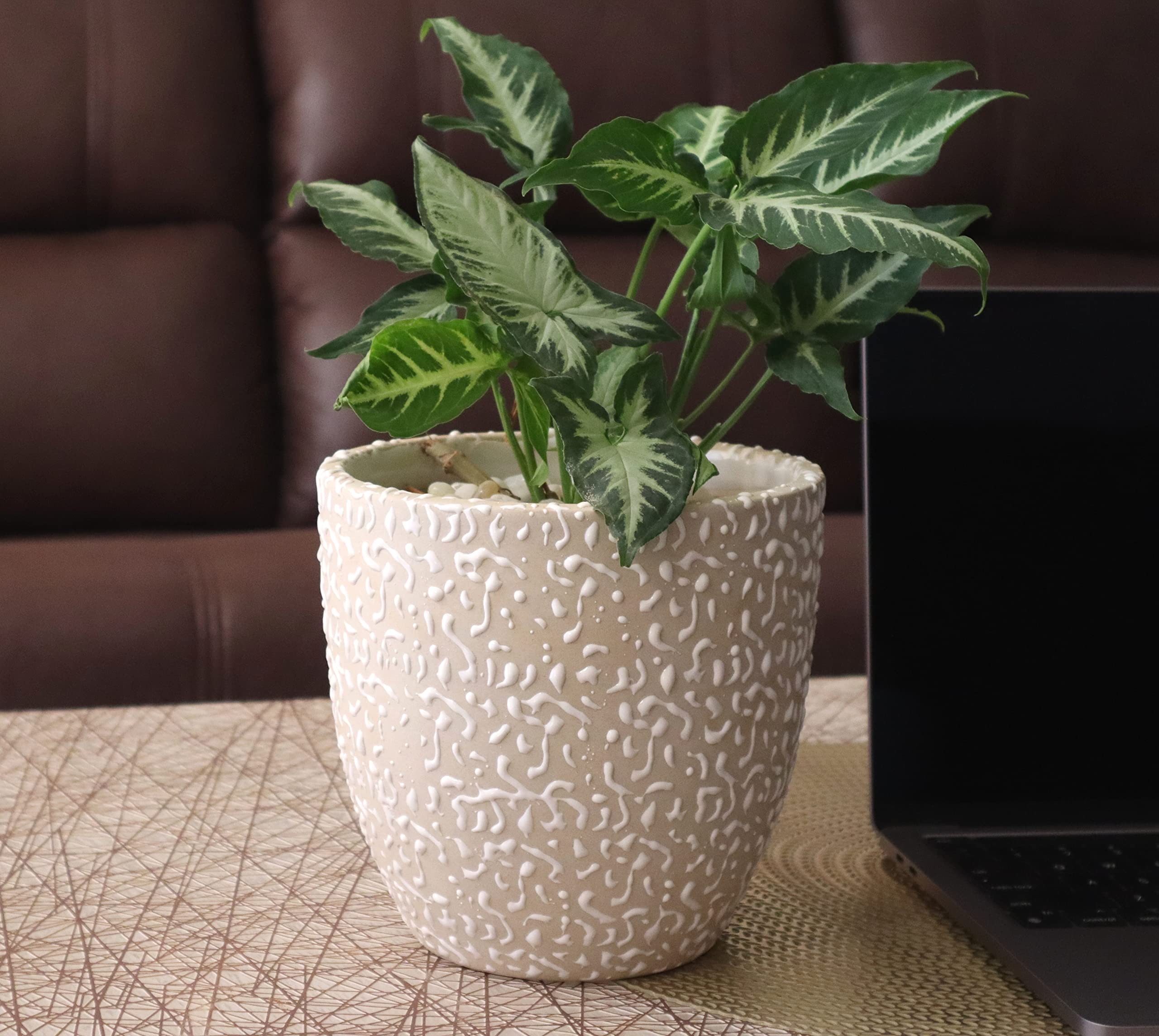 See full amazon price history chart for UrbanRoots Textured Egg Ceramic Pot (6.5 inch) (White) UrbanRoots Textured Egg Ceramic Pot (6.5 inch) (White) (B08C712R69) Amazon Price History, Amazon Price Tracker