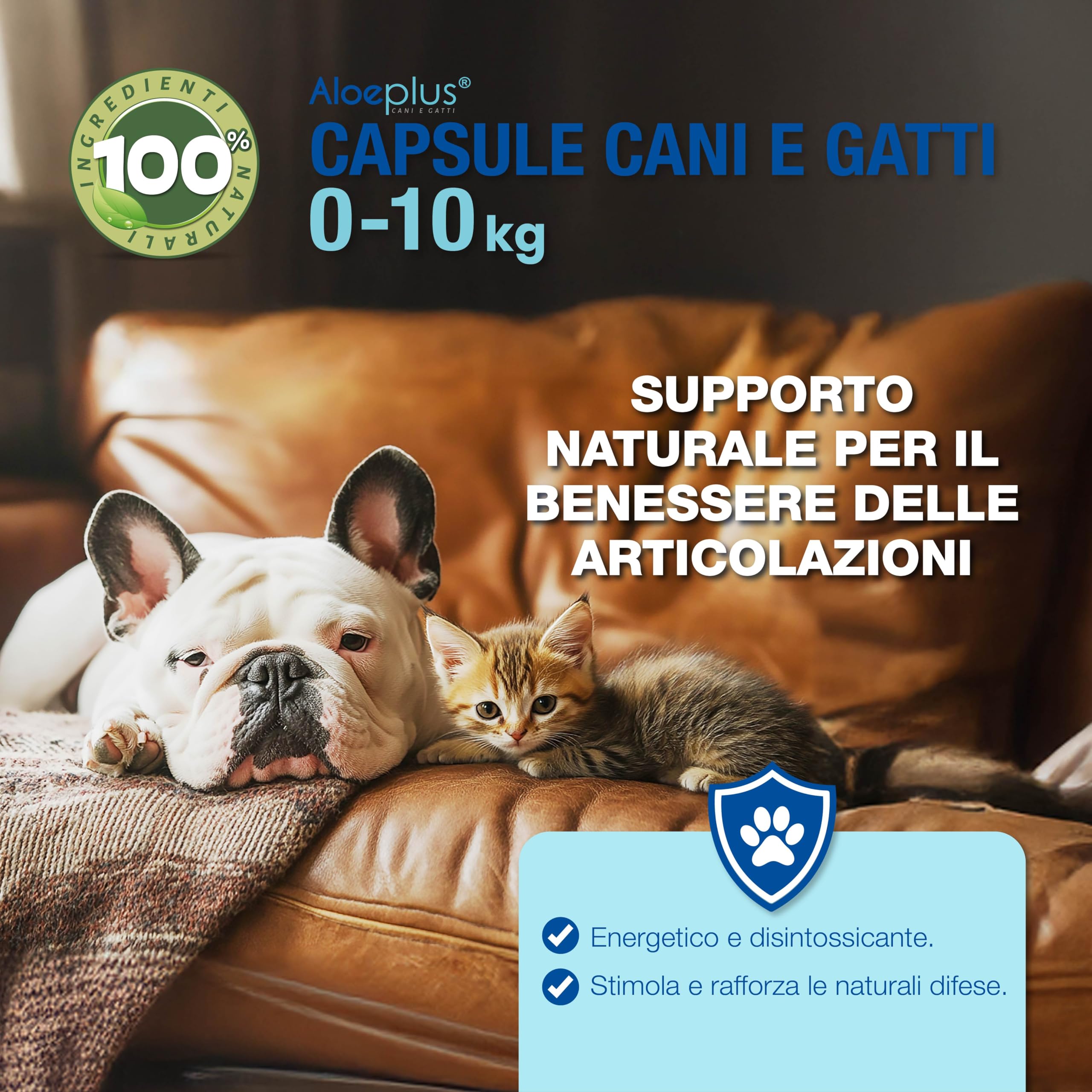 ALOEPLUS Gatti e Cani Capsule-Alimento Complementare Energetico, Disintossicante con Aloe Arborescens BIO, Rafforza le Naturali Difese di Gatti e Cani Anziani e Cuccioli, Contro inappetenza,60 capsule
