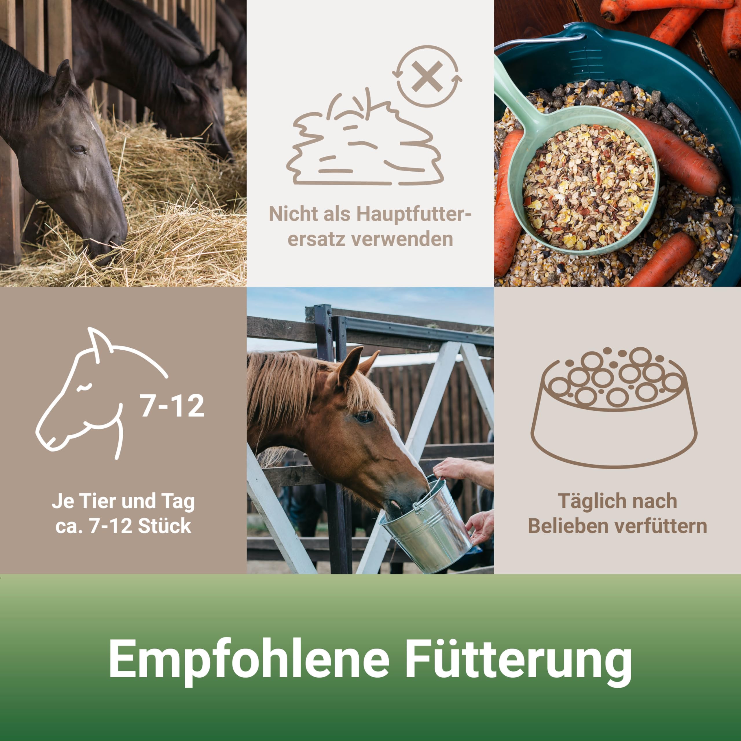 PANTO Rundum-Set Pferd – Formel A, Mineralleckschale & Leckerli | Komplettset aus Allroundpellet, Mineralleckschale mit Spurenelementen & Leckerli – Rundumversorgung für Pferde