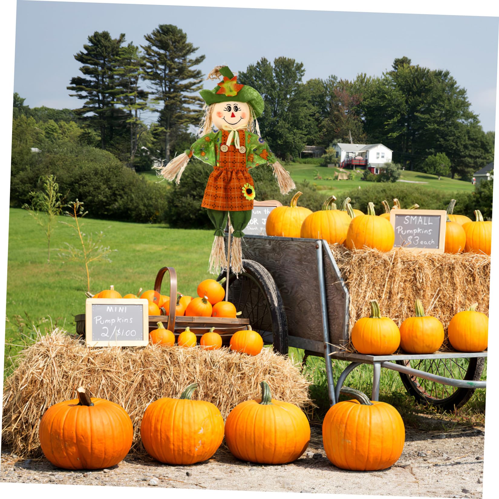 Supvox Gartenfigur aus Stroh für Herbstfest und Halloween Vogelscheuche zur Dekoration für Thanksgiving und Garten Ornament für Erntedankfest und Halloweenparty
