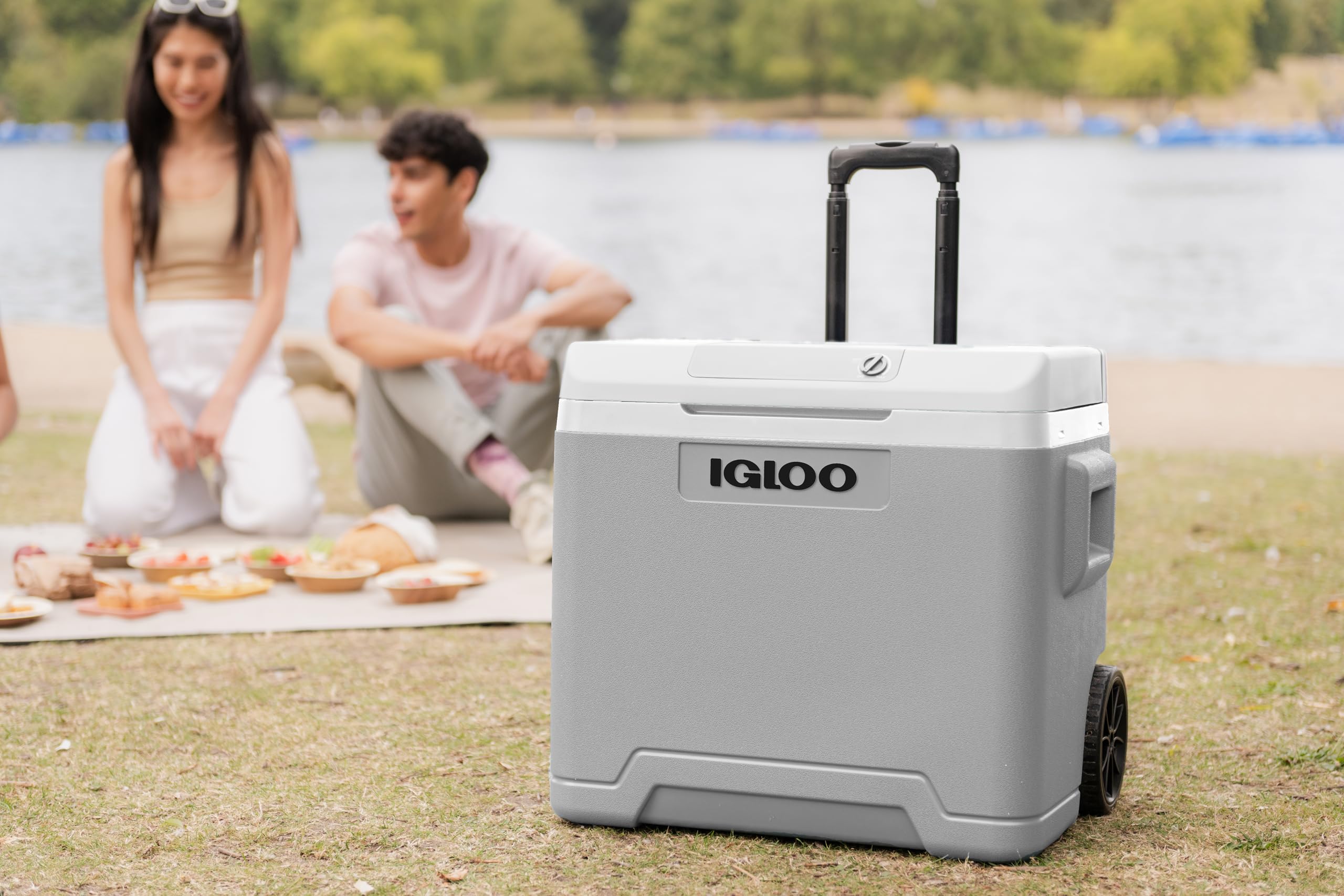 IGLOO IE42 Frigo Elettrico 12V 230V 42L Mini Frigorifero Compatto per Auto Campeggio