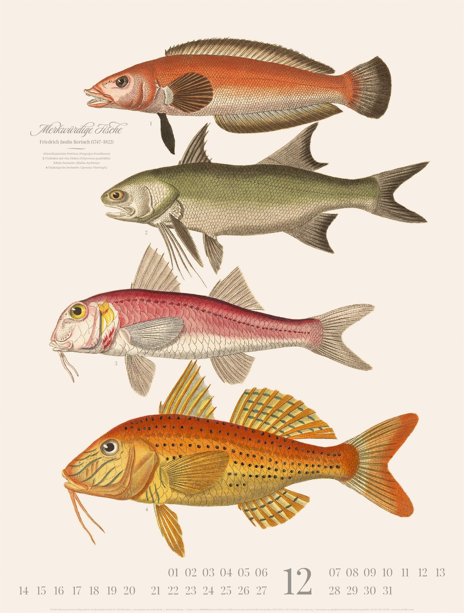 Fische Kalender 2026 | Dekorativer Retro-Kalender im großen Hochformat (50x66 cm) | Historische Tier-Illustrationen von Friedrich Justin Bertuch