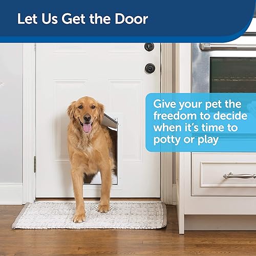 The 11 Best Dog Doors For Large Dogs