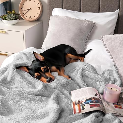 Miniatura 7 de Pavilion - Manta de cama Sherpa tamaño Queen, felpa gris claro, suave, acogedora, microfibra esponjosa, mullida para todas las estaciones, 90 x 90