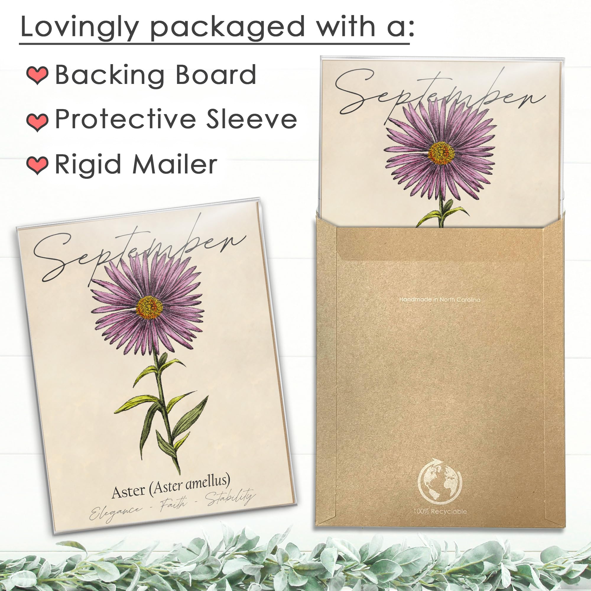 Amazon.com: September Birth Flower Art Print - 8x10 (Unframed