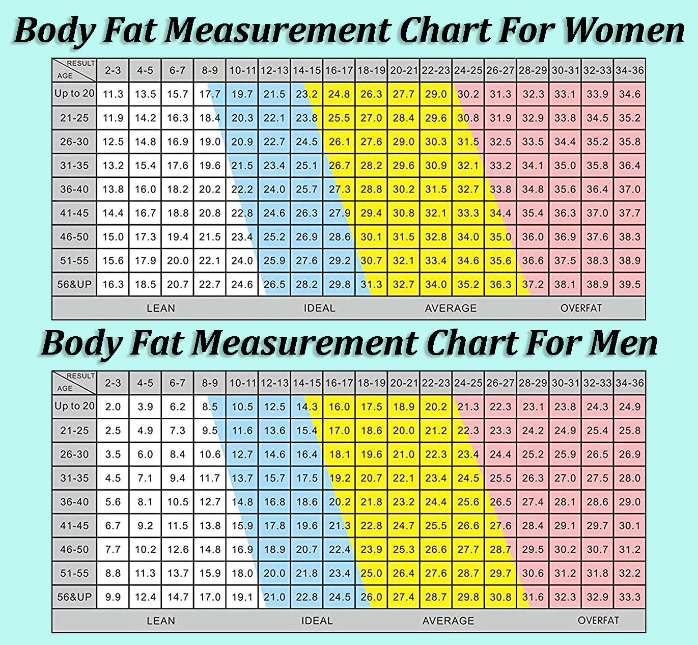 Buy Now Syga Body Fat Caliper For Body - Skinfold Calipers For Accur... 6 Buy Now Syga Body Fat Caliper For Body - Skinfold Calipers For Accur...