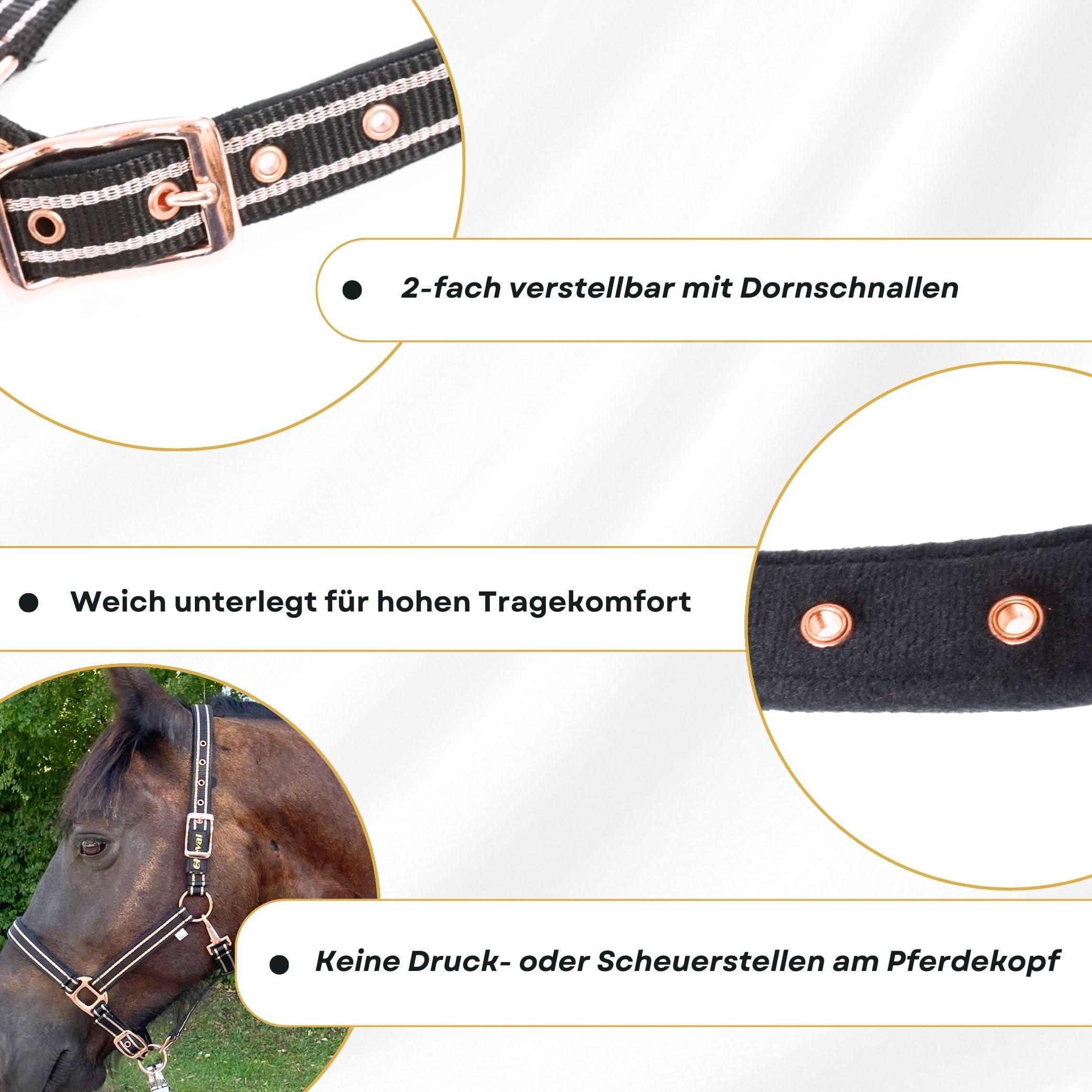 Cabestro para caballos con brillo en color oro rosa, cabestro para caballos en negro y rosa, ajustable en 2 posiciones (Negro oro rosa con cuerda, sangre caliente (completo))