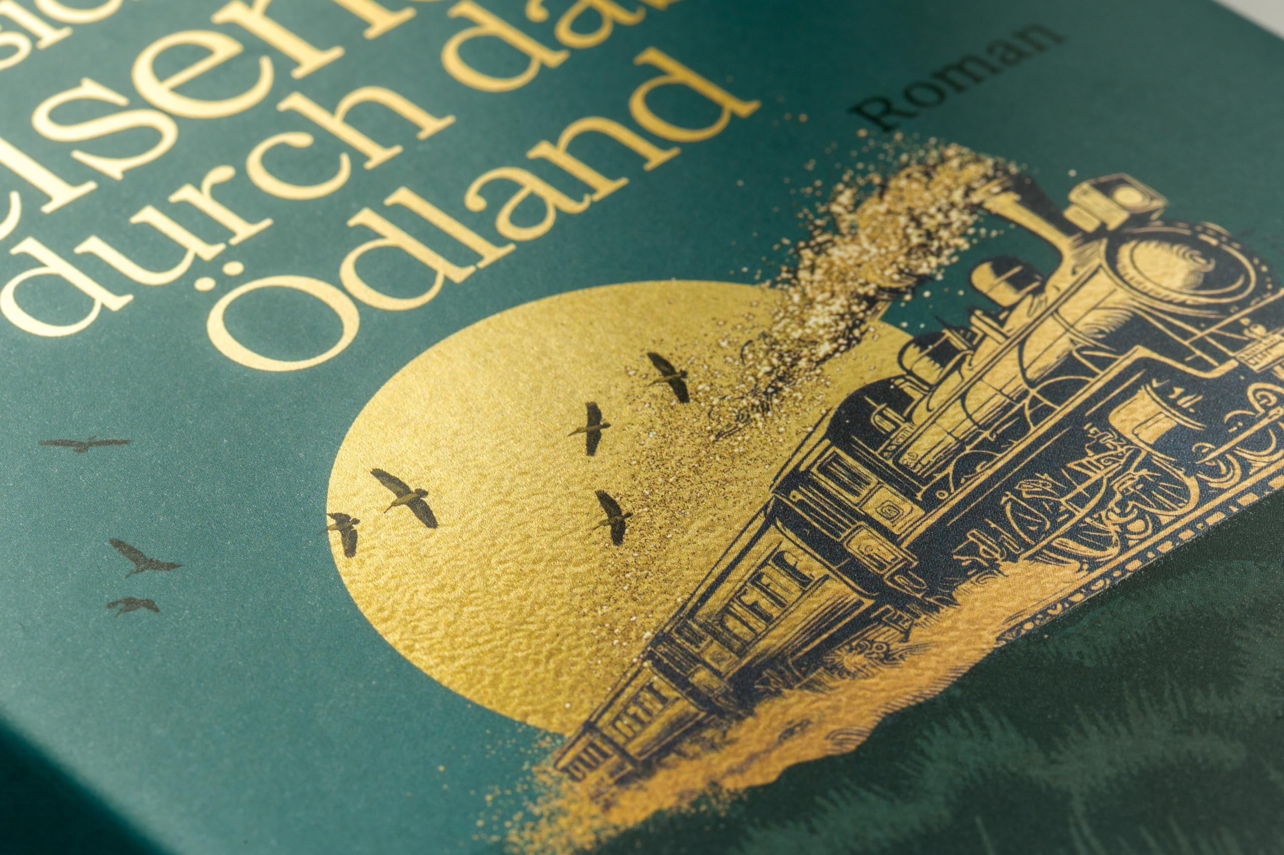 Handbuch für den vorsichtigen Reisenden durch das Ödland: Roman