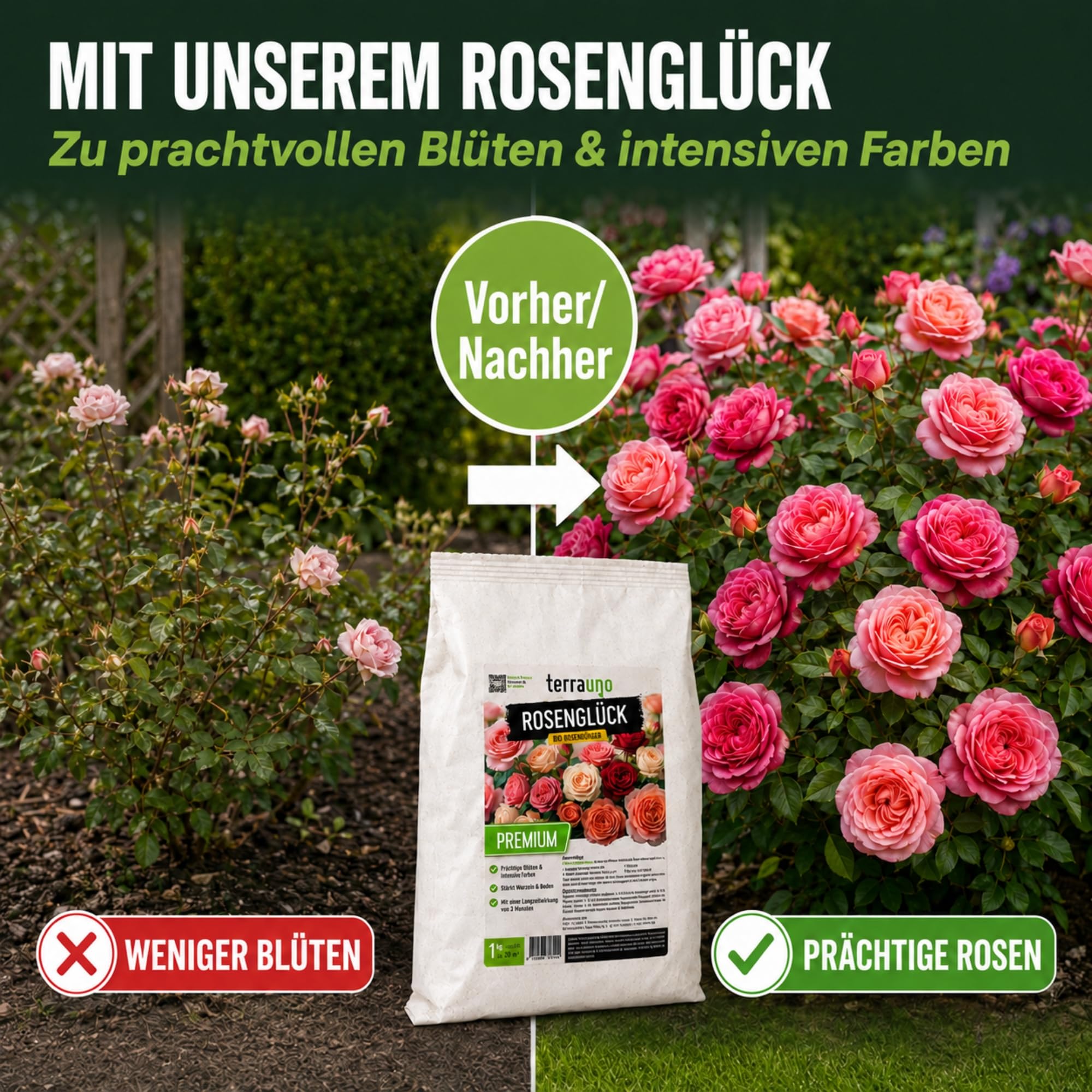 TerraUno Rosenglück Rosendünger Bio 1 kg, Rosen Dünger Langzeit für Beet-, Kletter- & Edelrosen, stärkt Wurzeln, für Prächtige Blüten & Intensive Farben, Organischer Blumendünger