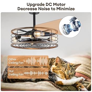 7PM Caged Ceiling Fan with Light, 20'' Farmhouse Ceiling Fan