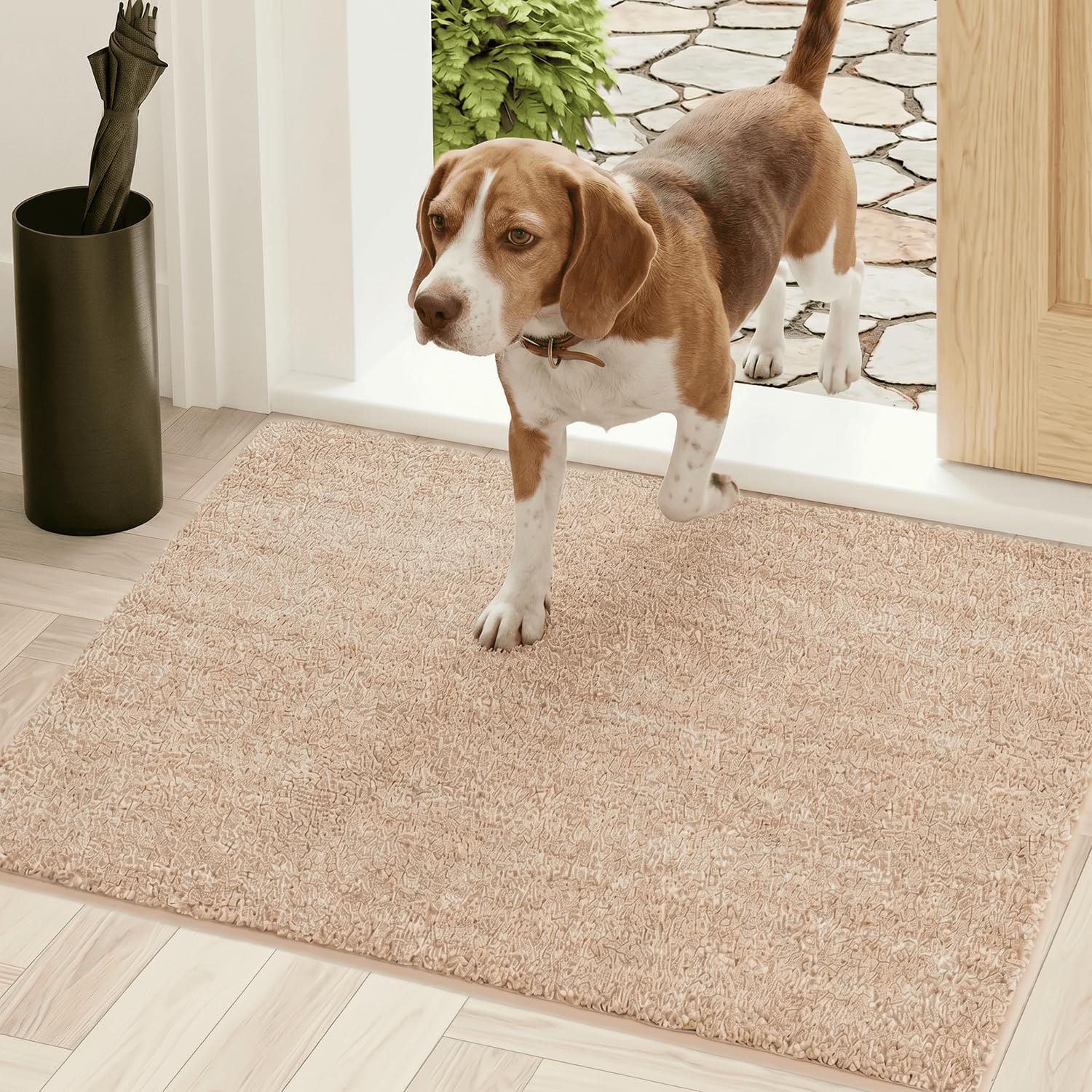 Oiilores Dirt Trapper Door Mat Indoor 50 x 80 cm, Washable Entry Rug, Inside Doormats for Entryway, Non-Slip, Super Absorbent Dog Mats for Muddy Paws, Pets, Beige — image 1