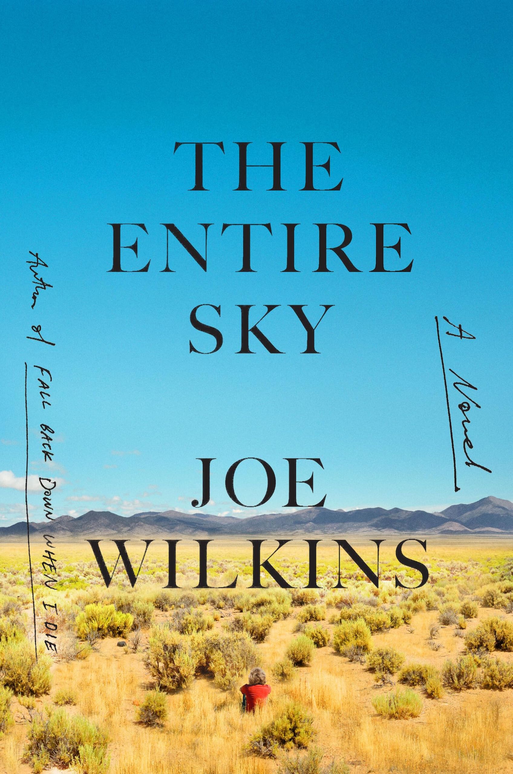 The Entire Sky: A Novel