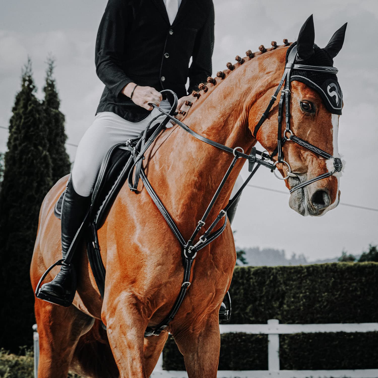 SUNRIDE Pettorale Cavallo in Pelle con martingala (Windsor) – attacco a 3-punti – forchetta martingala rimovibile – inserti elastici – regolabile (Full, Negro)