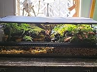 Review Image by Devin Thompson Devin Thompson