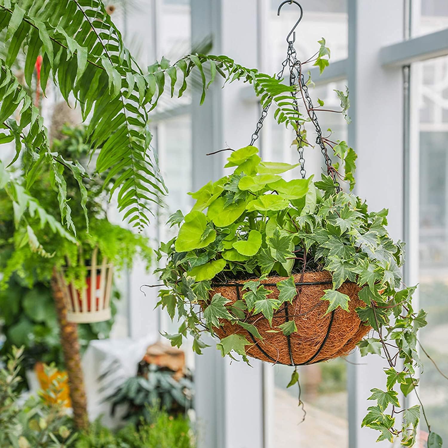 GXF Hanging Planter Baskets, 3 Packs 12 Inch Metal Hanging Baskets with Coconut Coir Liner and Black Chain for Porch Pot Hanger Garden Decoration Indoor Outdoor Plant Flower Pot