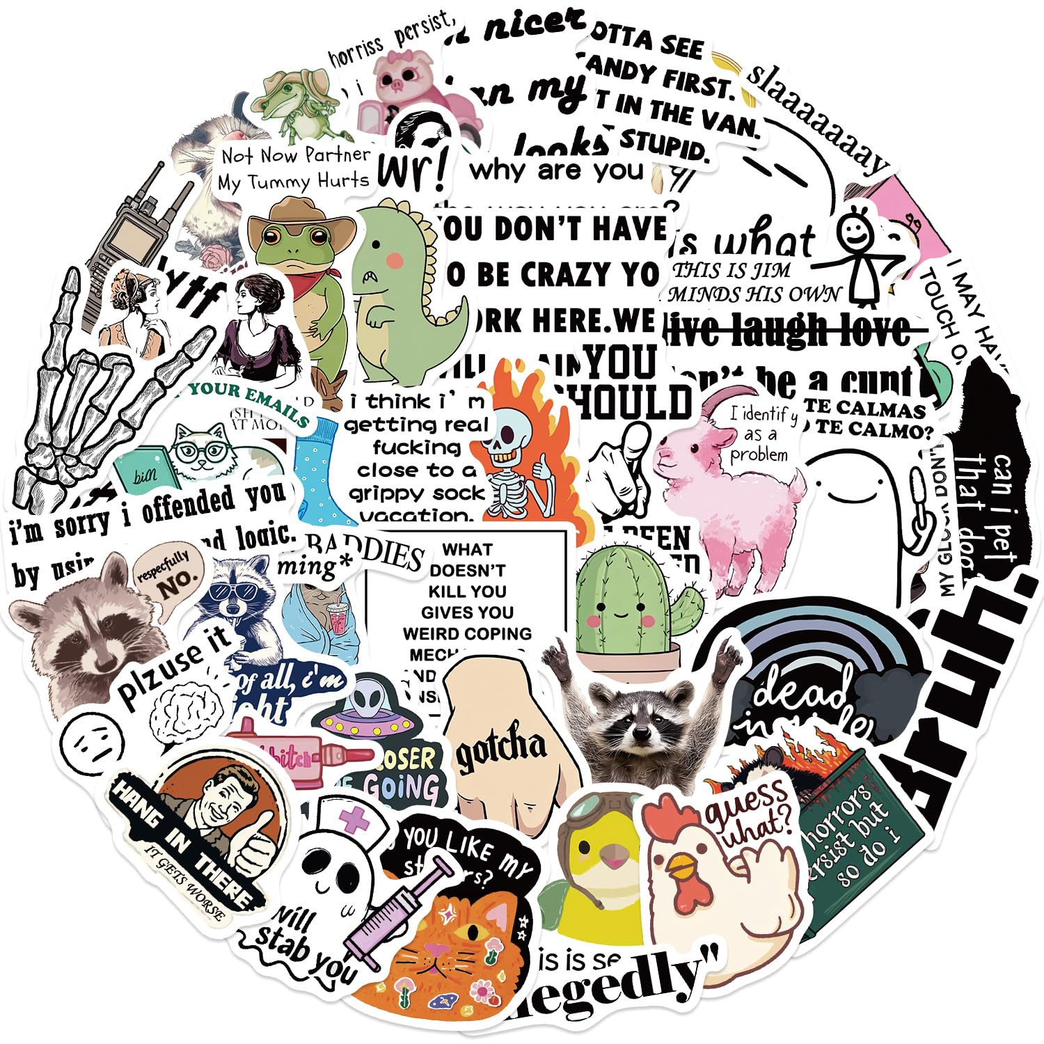50 Pcs Funny Meme Stickers Laptop Car Scrapbook Phone Skateboard Suitcase Luggage Bike Meme Vinyl Waterproof Aesthetic Personalised Stickers for Teens Boys Girls Adults