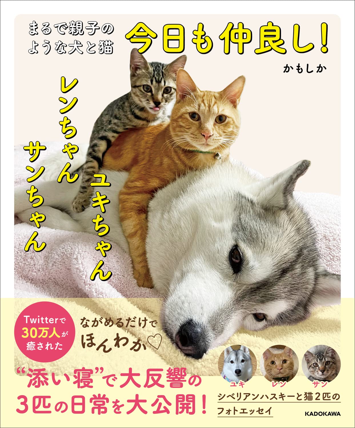 まるで親子のような犬と猫 今日も仲良し! ユキちゃん レンちゃん