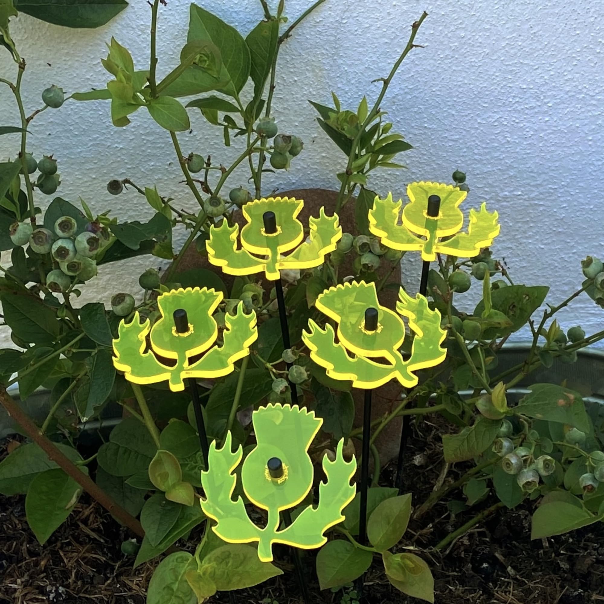 Sun Catcher Garden Decor Scottish Thistles 5 Garden Stakes Glowing Ornaments 25cm, 10 inch high, 6cm, 2.8 inch width Outdoor Gardeners Gift (fluorescent Yellow)