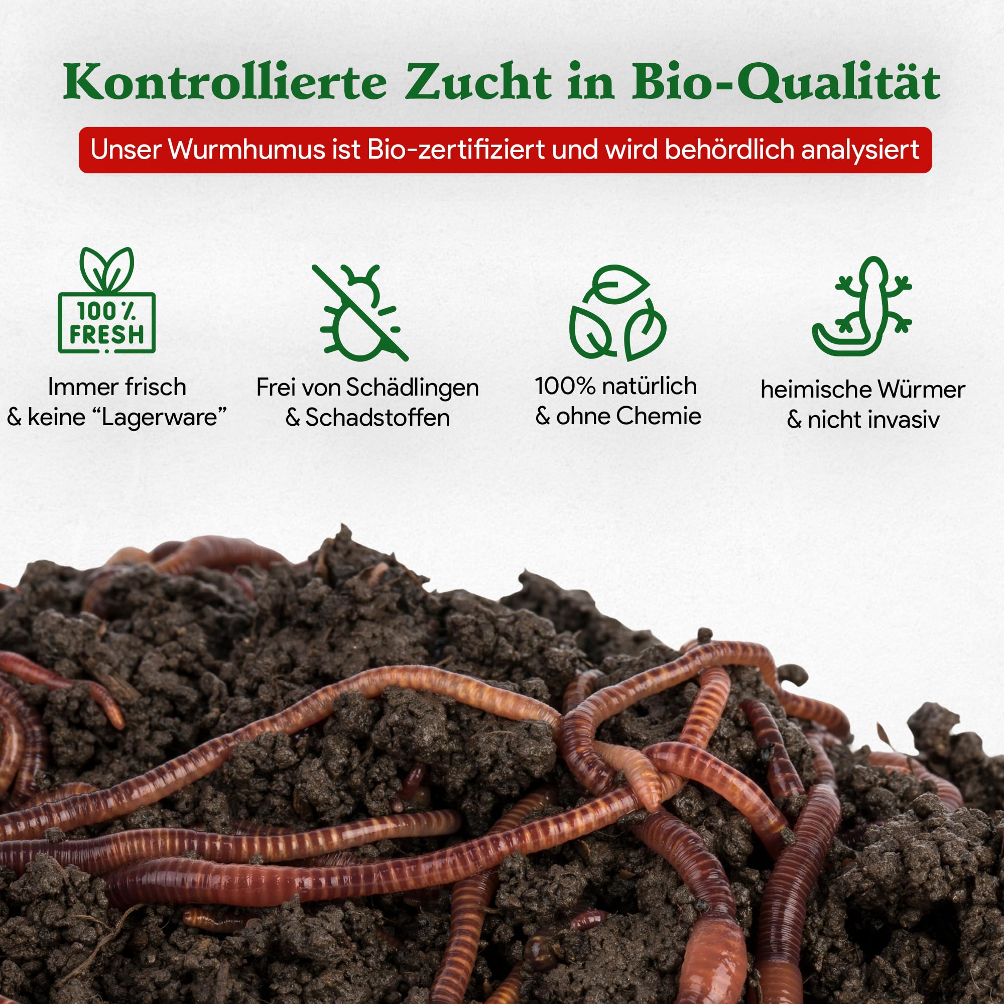 0,5 kg de vers de compost (min. 500 pièces) | Vers de terre, mélange Eisenia vivant pour compost, jardin, vermicomposteur, boîte à vers, plate-bande surélevée