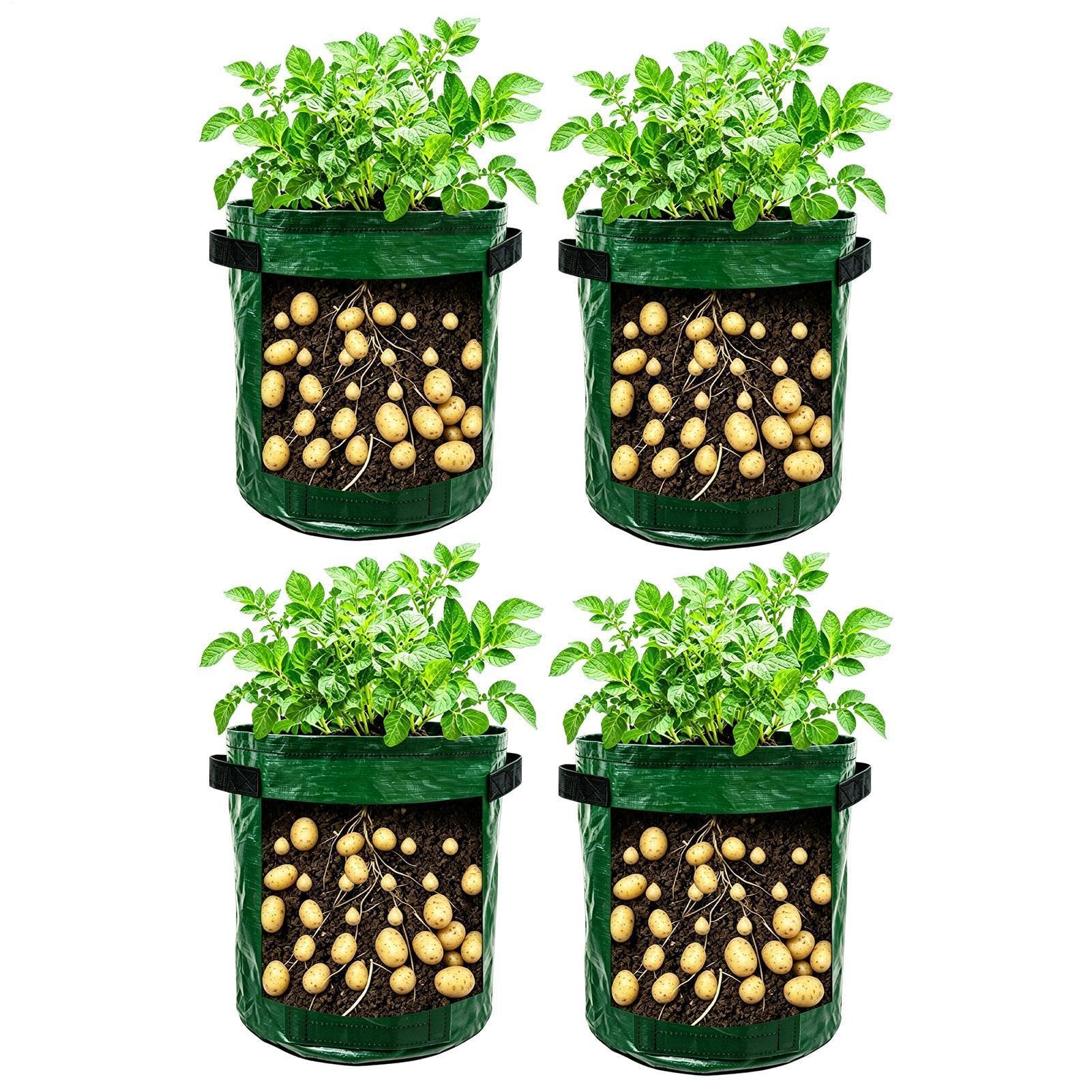 Bolsas de cultivo de tela de 35 cm con soporte de ventilación y manijas para huerto