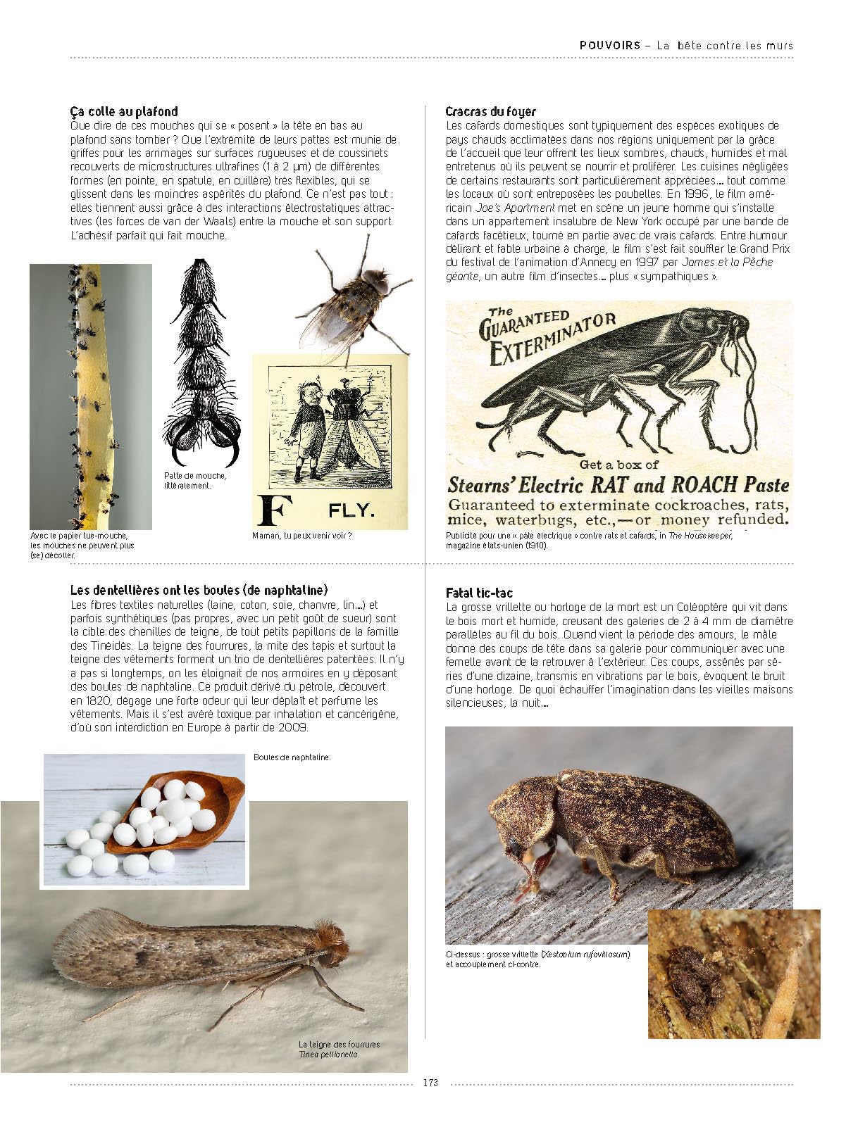 Insectes: Tous les savoirs, toutes les histoires, tous les pouvoirs, tous les espoirs…