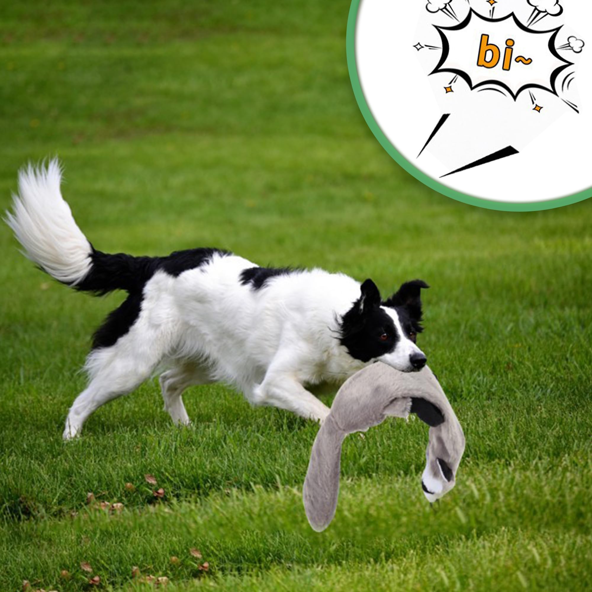 Flirtstange für Hunde, zusammenklappbar, ausziehbar, mit Quietschspielzeug, Jagdseil, Ballspielzeug, Agility-Trainingsgerät für kleine, mittelgroße und große Hunde, Trainingsgeräte für Hunde