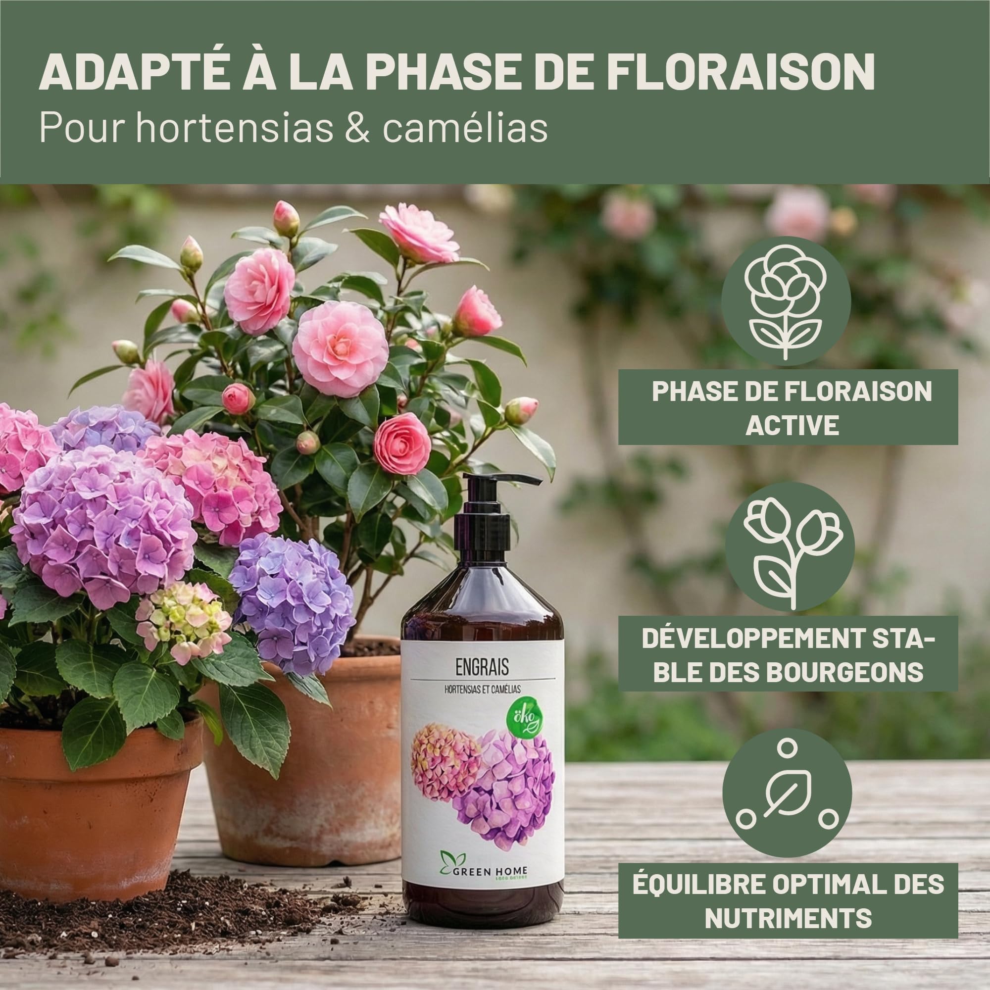Green Home Engrais Hortensia & Camélia Liquide 1 L avec Pompe Doseuse NPK 5-5-7 – Engrais Hortensia Liquide pour Hortensias, Camélias et Rhododendrons