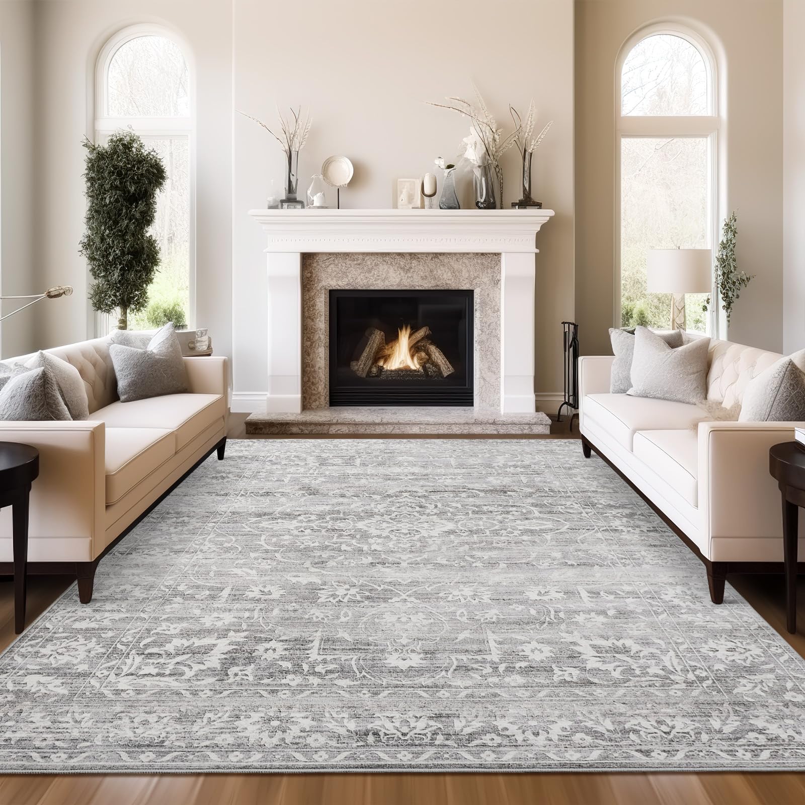 Soalmost Area Rug for Living Room