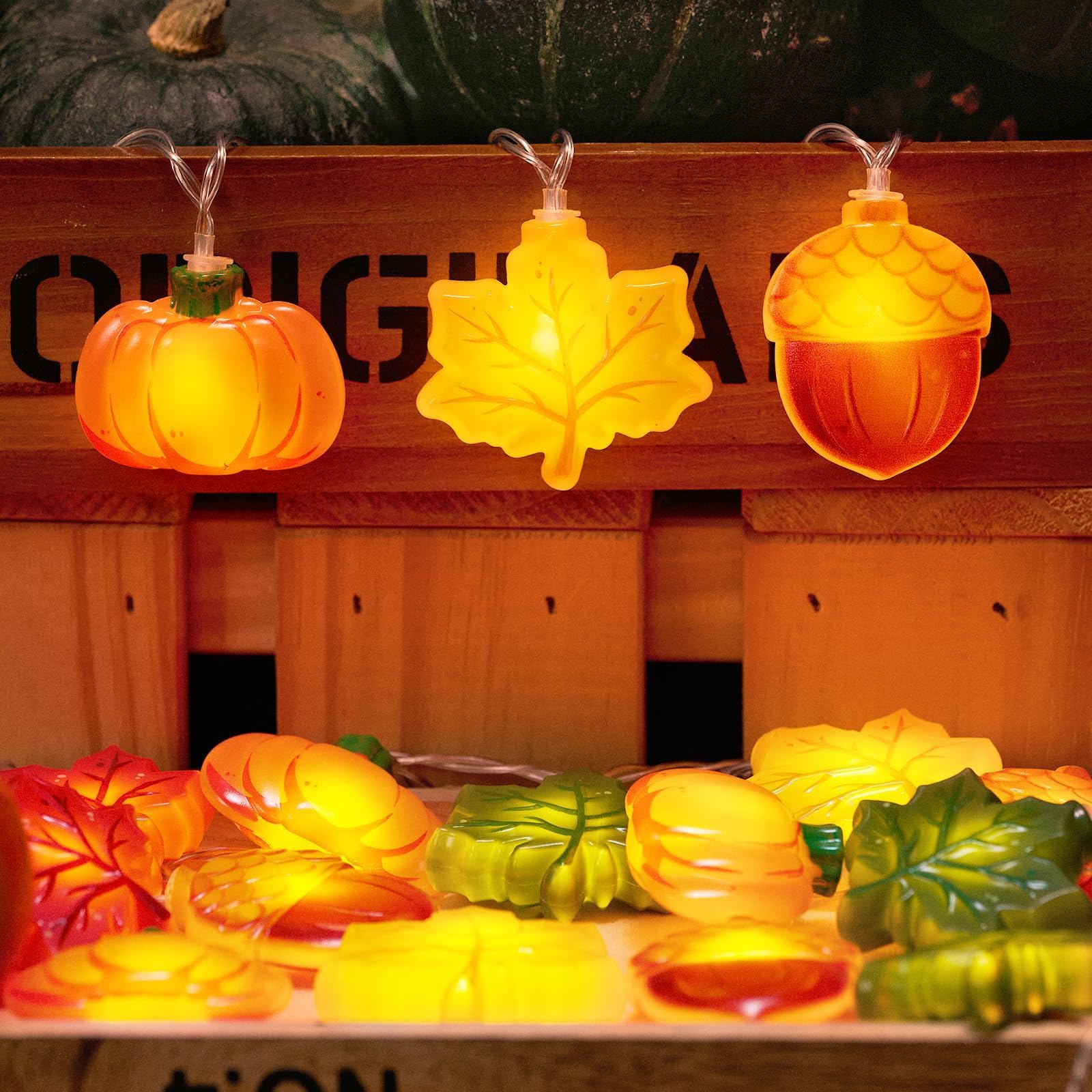 Herbst Lichterkette 1,5m - 10 LED Mit Kürbis, Eichel & Herbstblättern