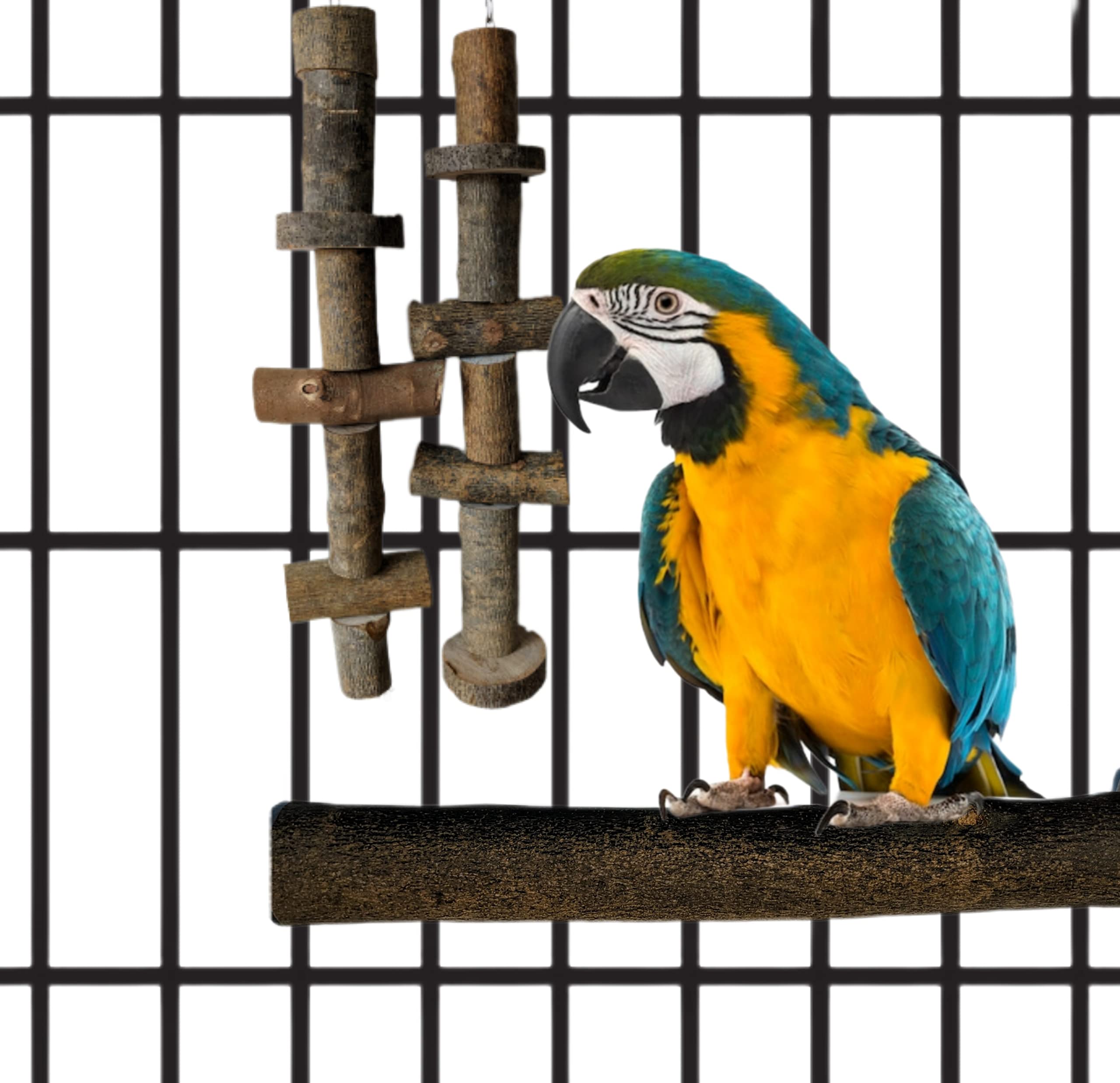 Perchas para loros, pack 2 y 3 und para jaulas de pájaros, posadero ideal para el descanso de aves, comedero o zona de juegos, lima uñas y pico natural, CALIDAD PREMIUM. (2 und aves medianas)