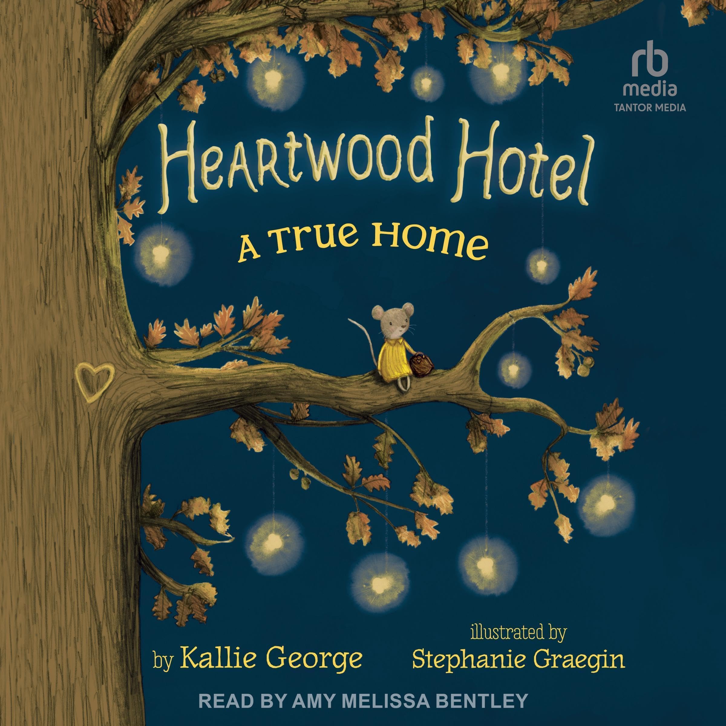 Cover art for A True Home
