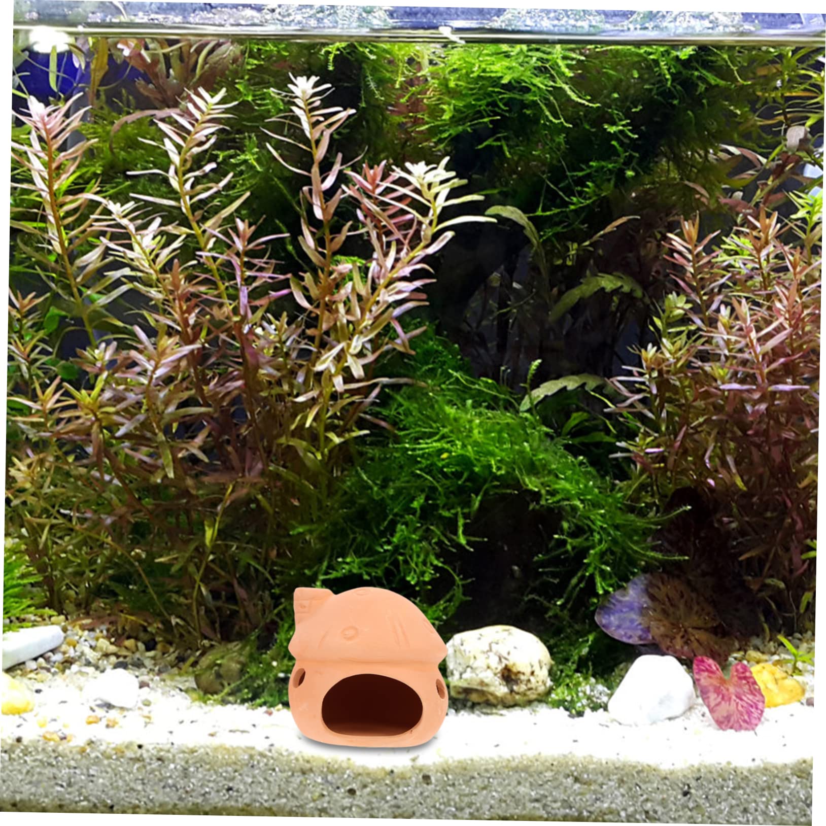 Sosoport 5 Sätze Garnelennest Garnelendosen Aquarienversteckfelsen Zubehör Für Aquarien Fischversteck Keramik Fischhöhle Schleichtiere Kleines Aquarium Aquarienlandschaftsdekore 2 Stück * 5