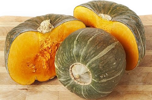 Miniatura 3 de Burgess Buttercup Winter Squash, 25 semillas tradicionales por paquete, semillas sin OMG, nombre botánico: Cucurbita Maxima, Isla's Garden Seeds