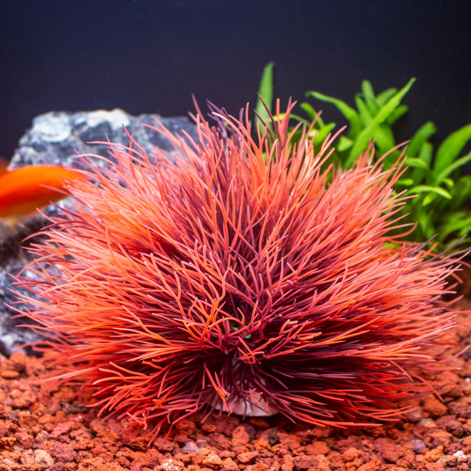 TAOMYPETS Fish Tank Decorations Aquarium Plants Plastic Artificial Décor (Black Red), Universal - Image 4