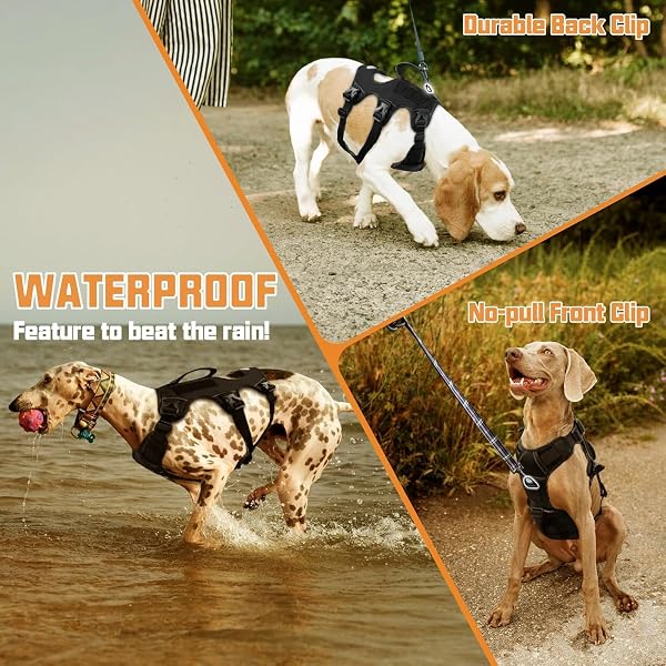 Anti-Zieh-Geschirr, Anti-Pull Dog Harness with Chest Clip Front and Back Clip, Anti-Zieh Hundegeschirr mit Step-in Design, Atmungsaktiv & Gepolstert, Für Hunde jeder Größe (Schwarz, L) - 3