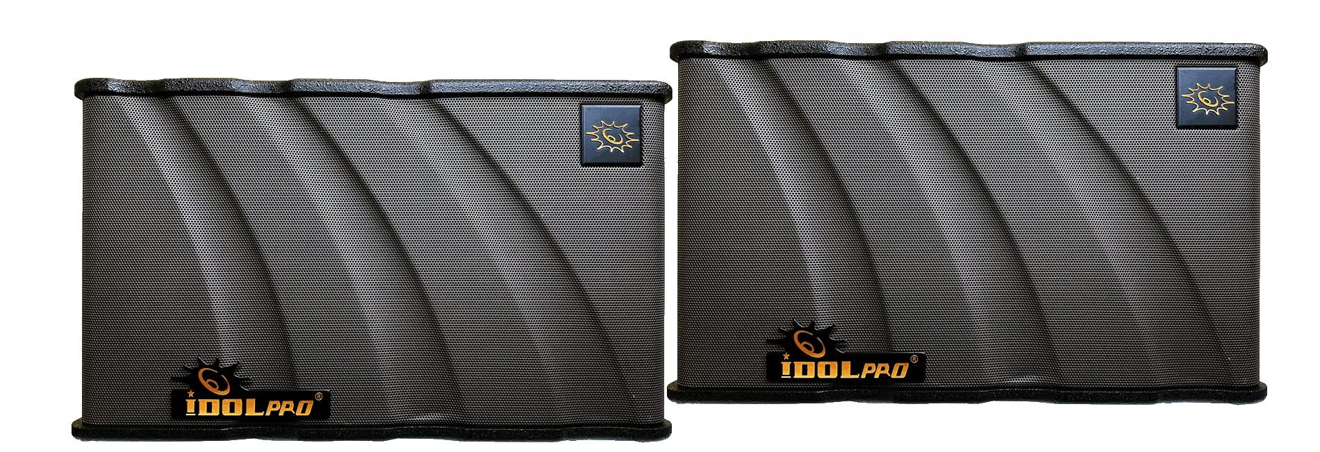 IDOLPRO IPS-680 1000W 10" Woofer Superior Sound Professional Karaoke Speakers