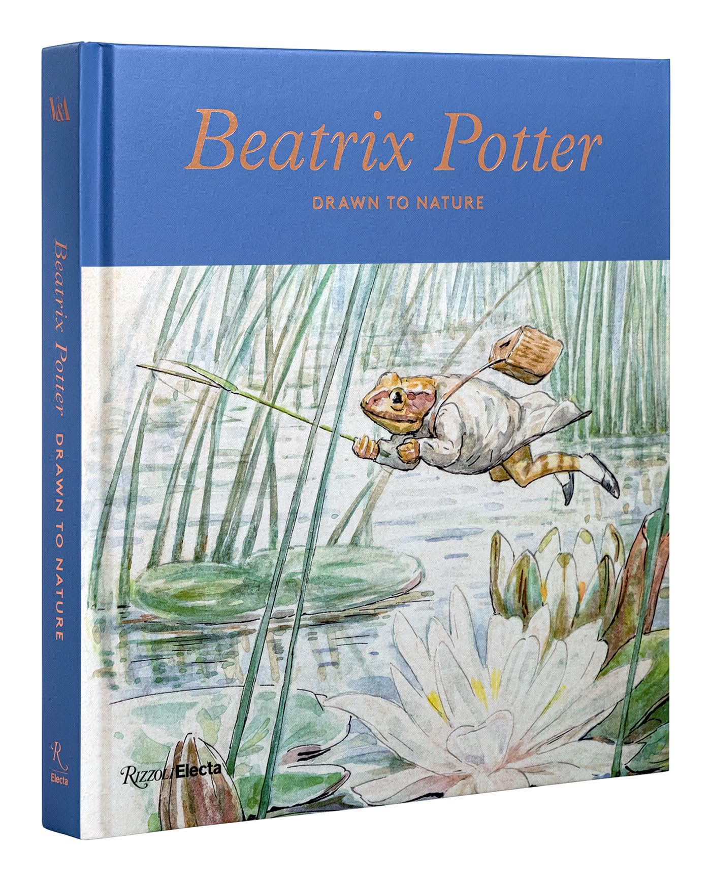 Beatrix Potter: Drawn to Nature: Bilclough, Annemarie