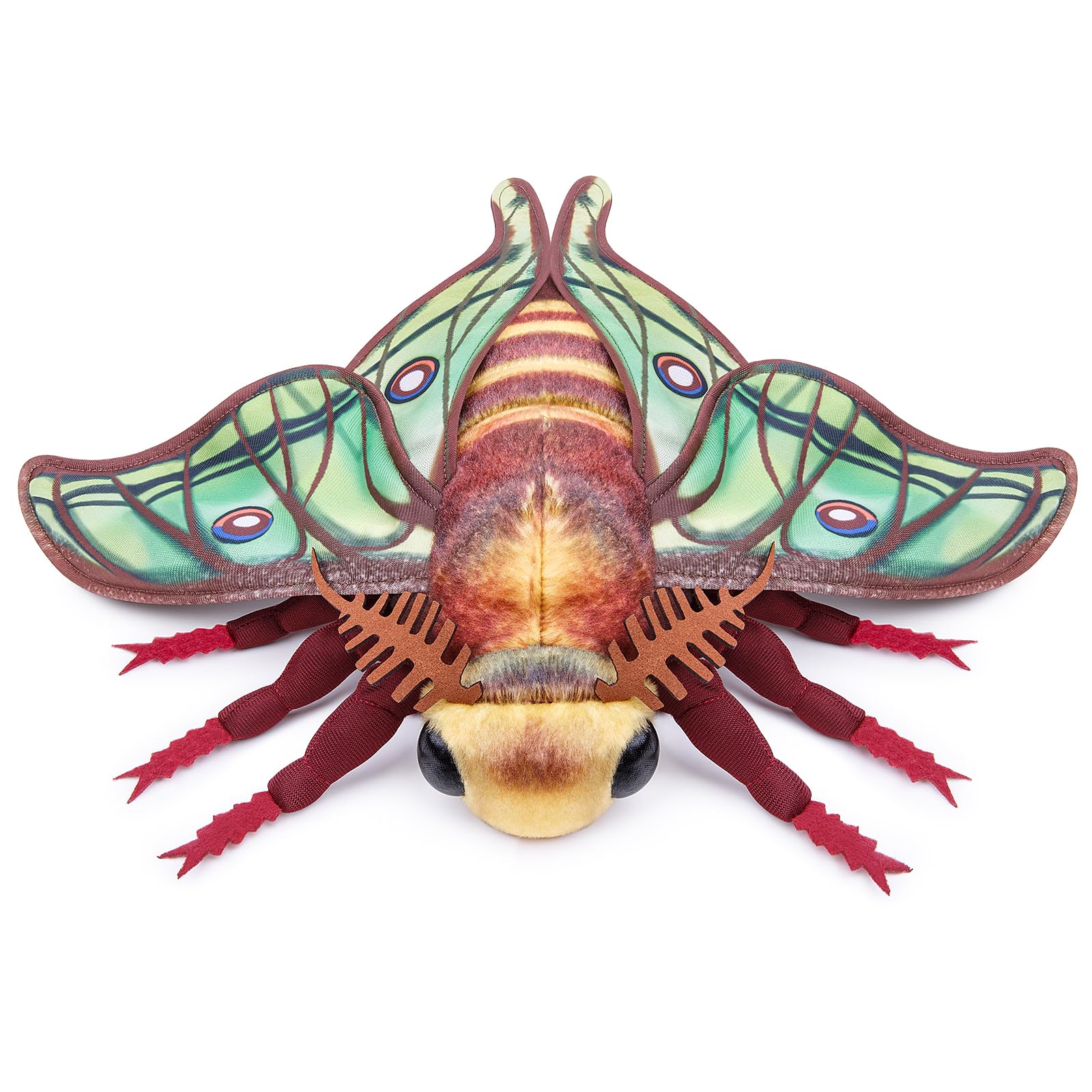 Frankiezhou Home Luna Moth Plush Toy, Lifelike Luna Moth Stuffed Animals 11in, Realistic Soft Big Moth Plushie Model Toy, Unique Plush Gift Collection for Kids