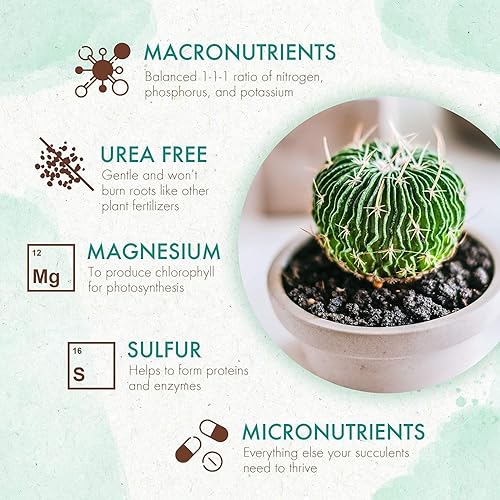 Miniatura 4 de The Grow Co Alimento para plantas de suculentas y cactus, fórmula suave de larga duración, fertilizante de liberación lenta (alternativa líquida)