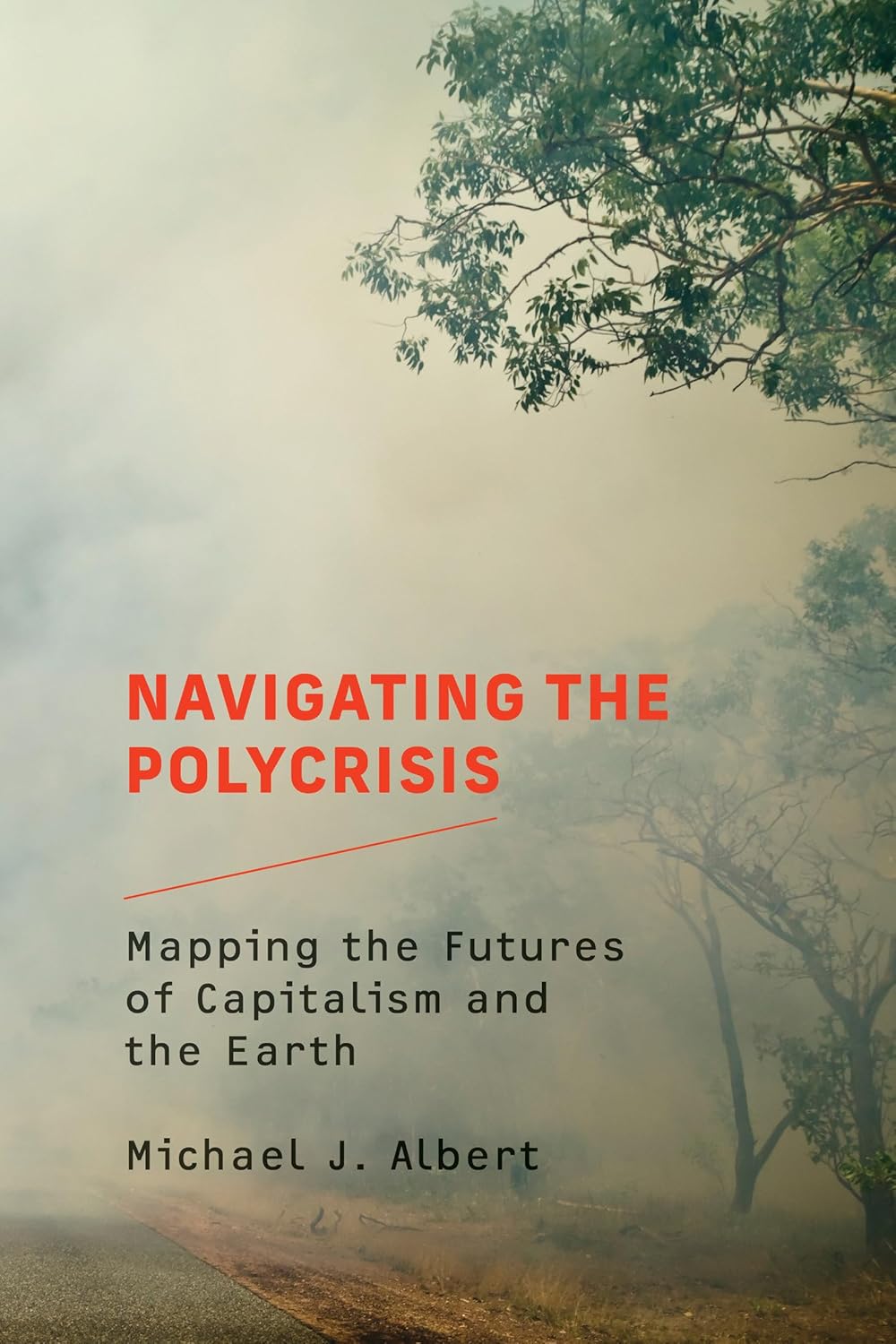 Navigating the Polycrisis: Mapping the Futures of Capitalism and the Earth      Paperback – April 23, 2024