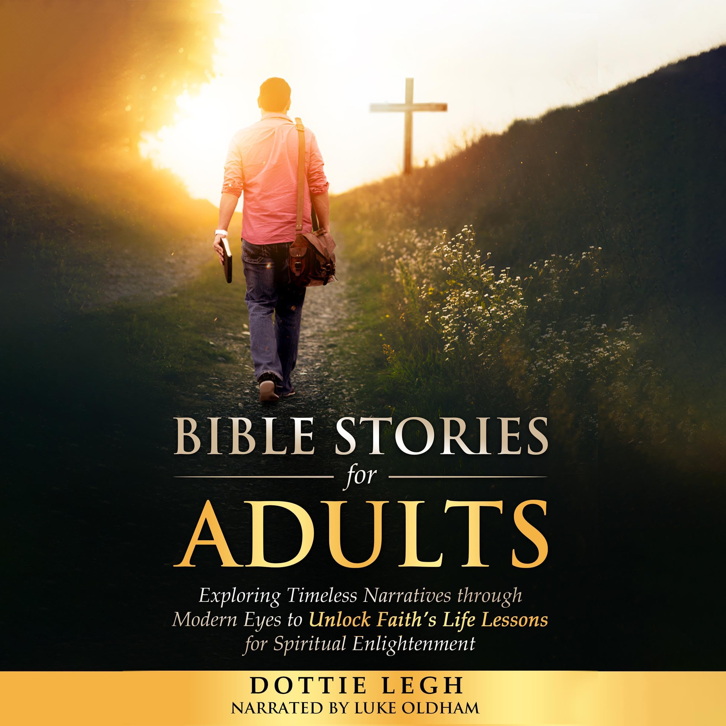 Cover art for Bible Stories for Adults