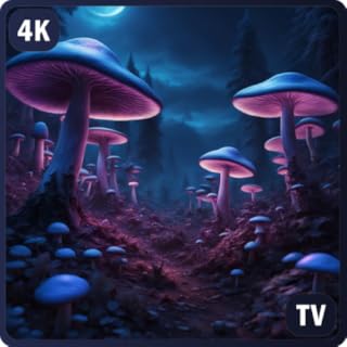 Gentle Mushroom Canopy Sleeping Sounds Ambient for Fire TV