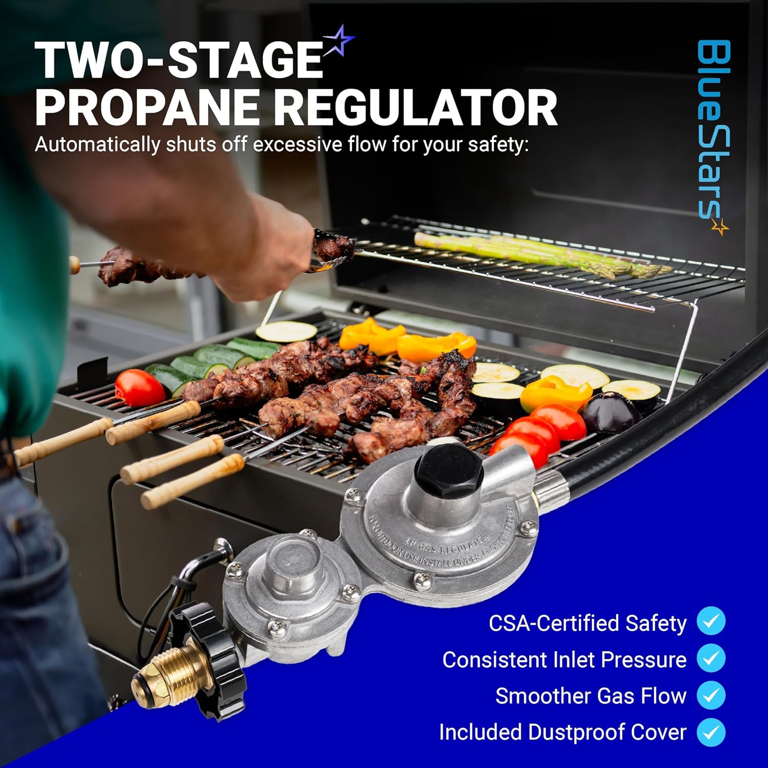 BlueStars CSA Listed 12 FT F273684 Propane Hose - Fit for Mr Heater Big Buddy Heaters, RV, Grill, Gas Stove, Range, Gas Generator with POL Interface, 3/8in Female x 3/8in Male Street Elbow