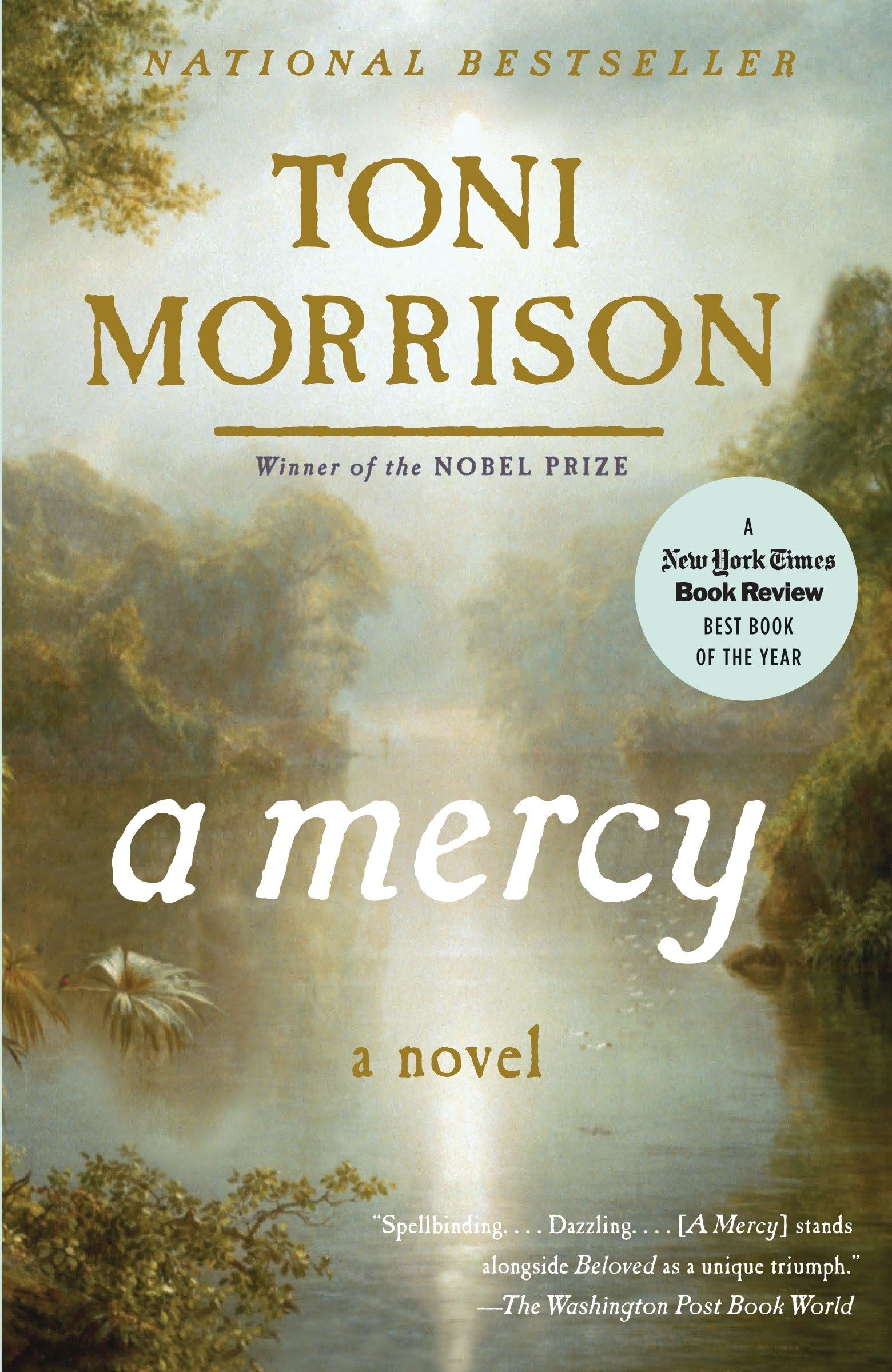 A Mercy Paperback – August 11, 2009