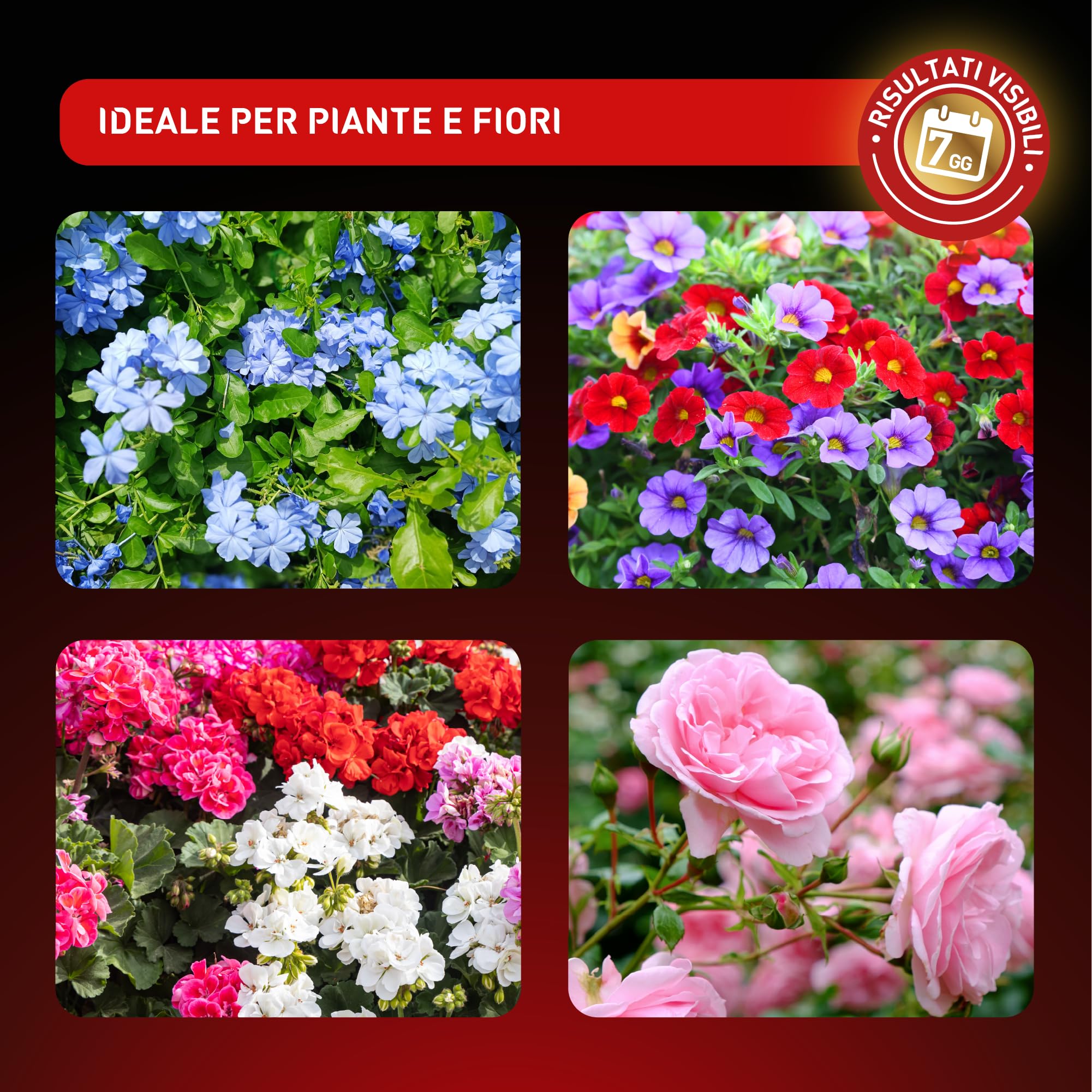 NutriONE Concime Liquido Concentrato per Piante e Fiori 1L