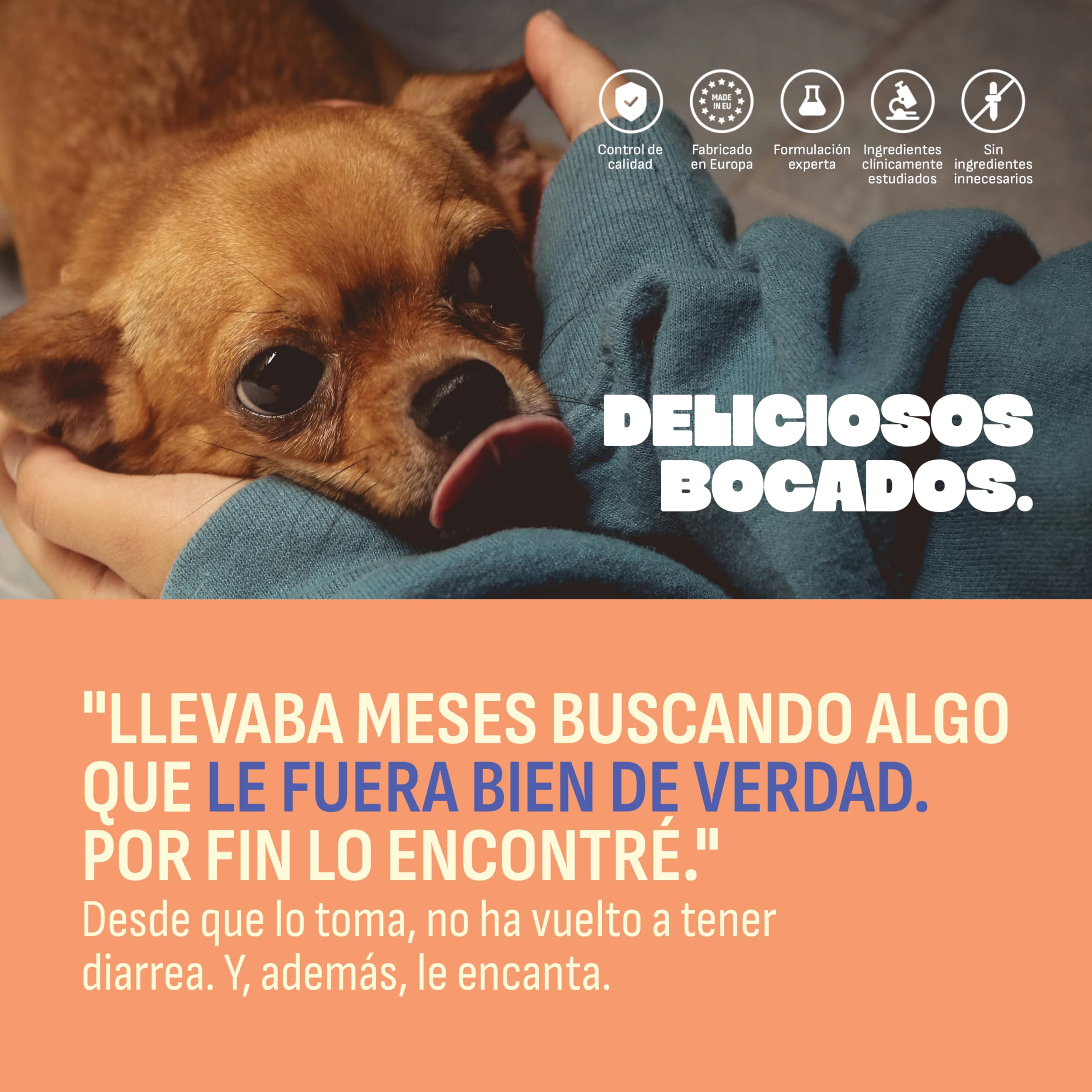Probióticos Perros Mylo. Heces Firmes y Combate Gases y Diarrea Perros. 3 Cepas Probióticas, Prebióticos y Arándano Rojo. para Perros con Estómago Sensible. 60 Uds