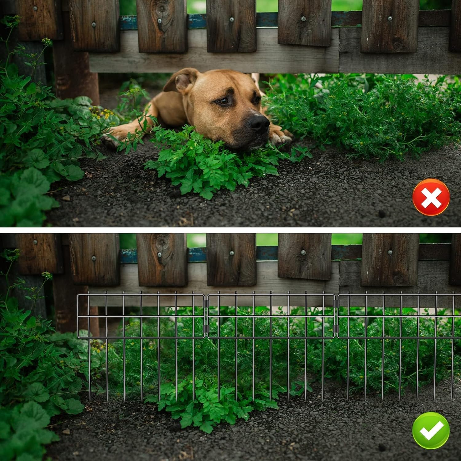 LIANTRAL 10 Stück Tier Barriere Zaun, Dekorativer Gartenzaun, rostfreier Metalldraht, Kein Graben-Zaun Patio-Grenze Tierzaun für Hunde Kaninchen im Freien Patio, 42 cm (H) x 3,05 m Gesamtlänge