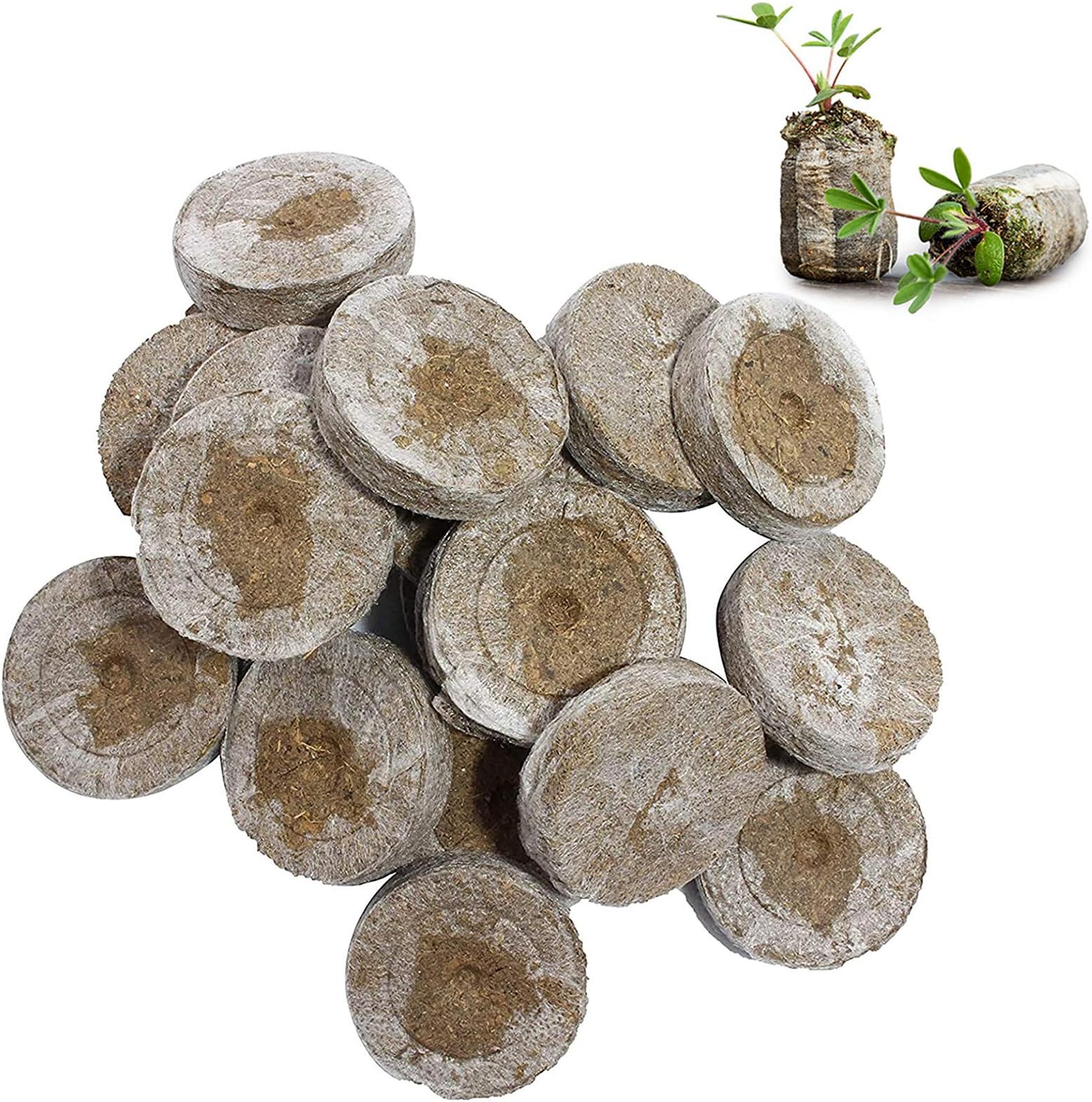 Terriccio Universale Biologico Per Il Giardinaggio Del Bosco 10lt I - Foto 12