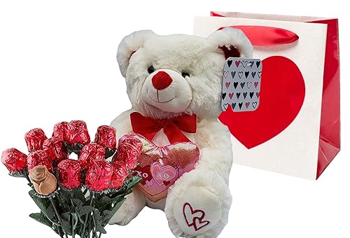 Cesta de regalo para el día de San Valentín | Peluche de oso de peluche de 10 pulgadas (el color puede variar), bolsa de regalo temática de San