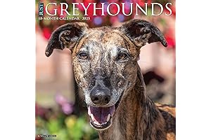 Greyhound Grace Calendar 2023